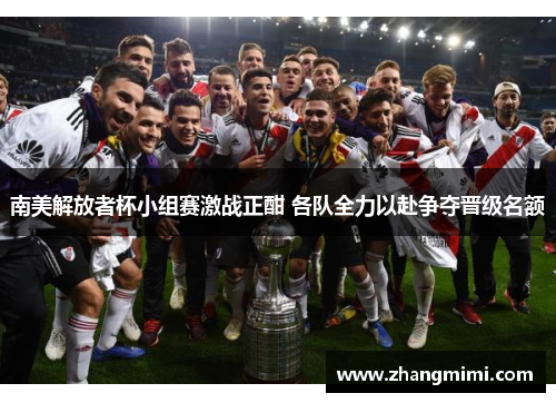 南美解放者杯小组赛激战正酣 各队全力以赴争夺晋级名额