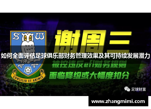 如何全面评估足球俱乐部财务管理效果及其可持续发展潜力