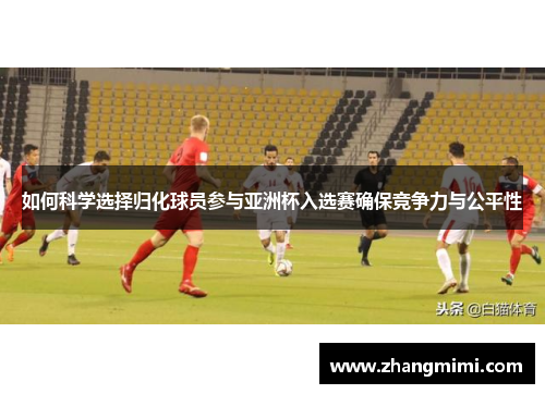 如何科学选择归化球员参与亚洲杯入选赛确保竞争力与公平性