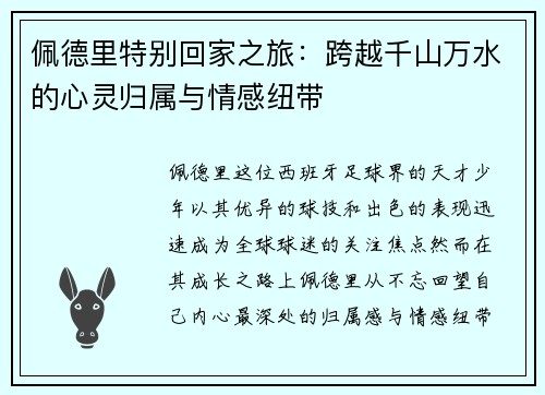 佩德里特别回家之旅：跨越千山万水的心灵归属与情感纽带