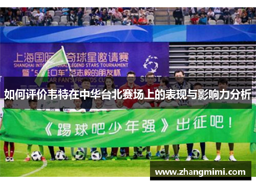 如何评价韦特在中华台北赛场上的表现与影响力分析
