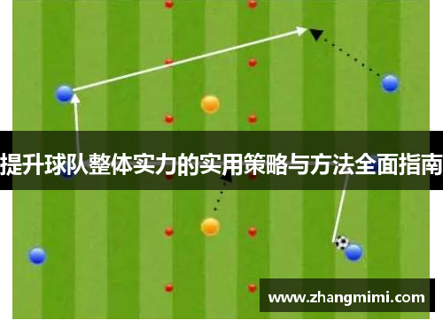 提升球队整体实力的实用策略与方法全面指南