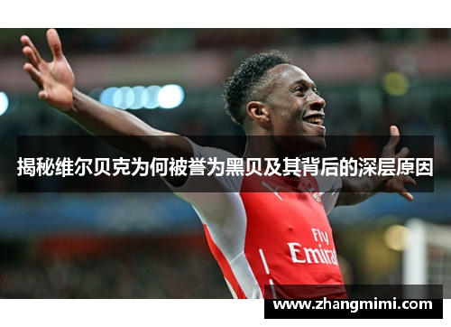 揭秘维尔贝克为何被誉为黑贝及其背后的深层原因