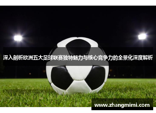 深入剖析欧洲五大足球联赛独特魅力与核心竞争力的全景化深度解析