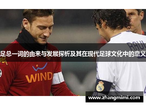 足总一词的由来与发展探析及其在现代足球文化中的意义