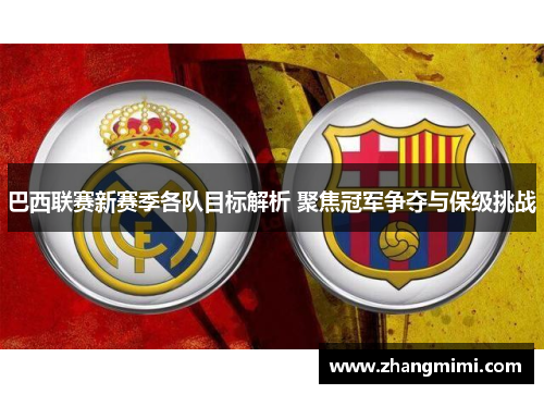 巴西联赛新赛季各队目标解析 聚焦冠军争夺与保级挑战